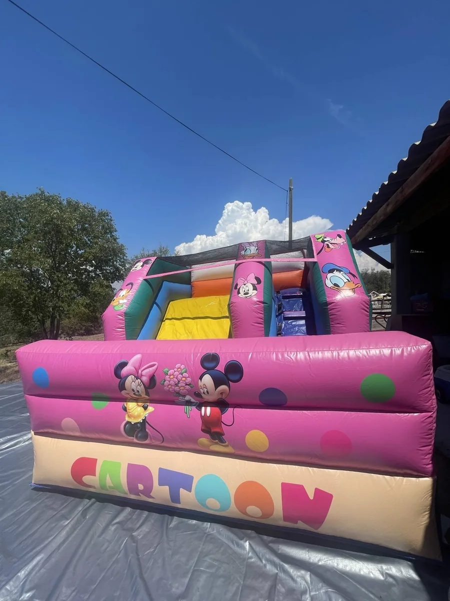 Mini-château Le Cartoon — photographie de présentation